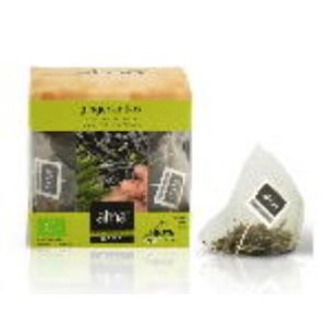 CHÁ VERDE GINGER ANTIOX infusão 15piramides.ECO