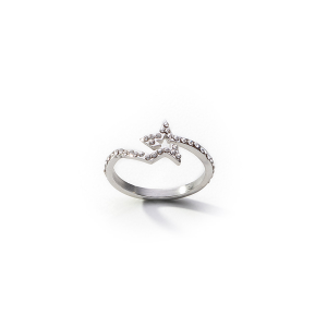 ANEL ANJEWELS, AÇO