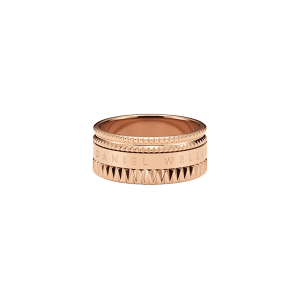 ANEL DANIEL WELLINGTON, AÇO