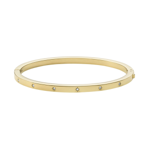 PULSEIRA FOSSIL, AÇO